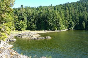 12619905254_5aed6e1ab2