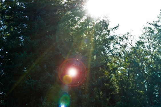 775d8193bbb78845a7d29f189d072006